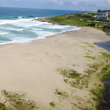 Shores